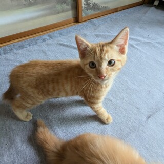 ありがとうございました。