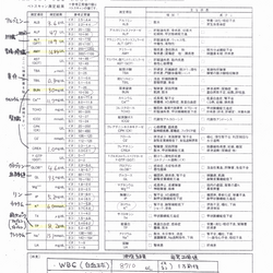 ５種のワクチン接種、健康診断　その２