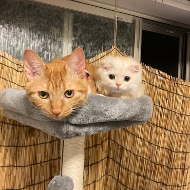 ちゃちゃの写真