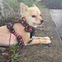 調整中のため、一旦ストップさせていただきます