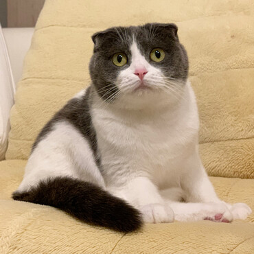 お座りが上手です！