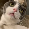 ドアップかずお。