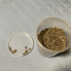 「食べてみた」サムネイル2