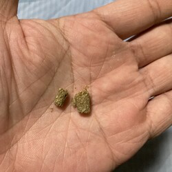 「食べてみた」サムネイル3