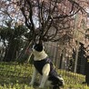 の写真