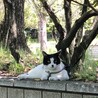 の写真