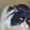 まつくり