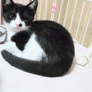 ノアーのトライアルＯＫ！