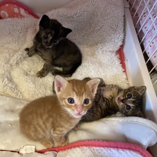 ６月初旬生まれの３兄妹♡