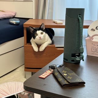 やんちゃで甘えん坊なアシメくん♡