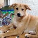 可愛いですよ！