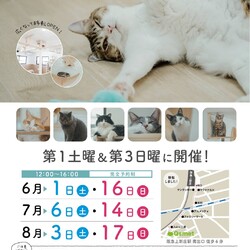 200回　保護猫カフェQsmet（くすめっと）　定例里親譲渡会