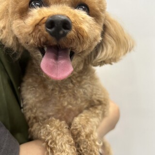 レン君(4歳)トライアル決定