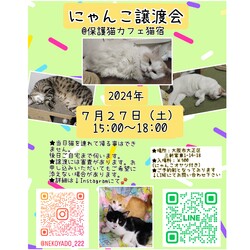 にゃんこ譲渡会 サムネイル1