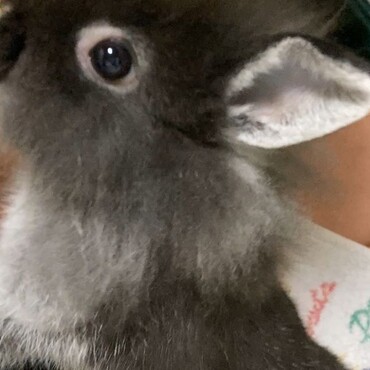 君の瞳に恋してる！