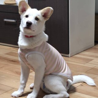 生まれつき見えないけど元気いっぱい「ちぃちゃん」