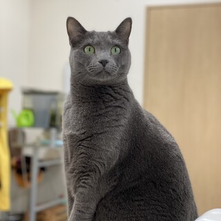 ずっとのお家を探しています