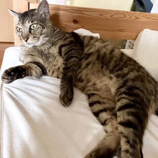 添い寝OK　なれなれの男の子コータ