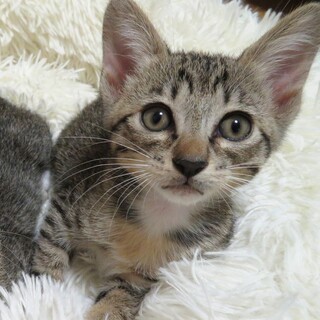 元気印の女の子☆２ヶ月