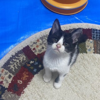 生後2ヶ月の男の子 すぬくん