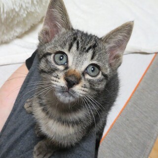 甘え上手な女の子☆2ヶ月