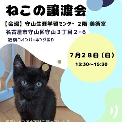 ねこの譲渡会 in守山生涯学習センター