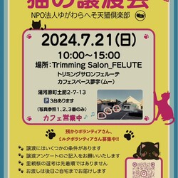 第13回猫の譲渡会 at 湯河原町