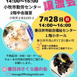 保護猫の譲渡会in小牧