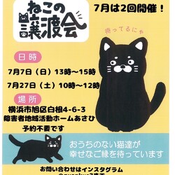 あすねこ会保護猫譲渡会 サムネイル1