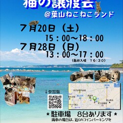 湘南地区最大級✨保護猫譲渡会in葉山