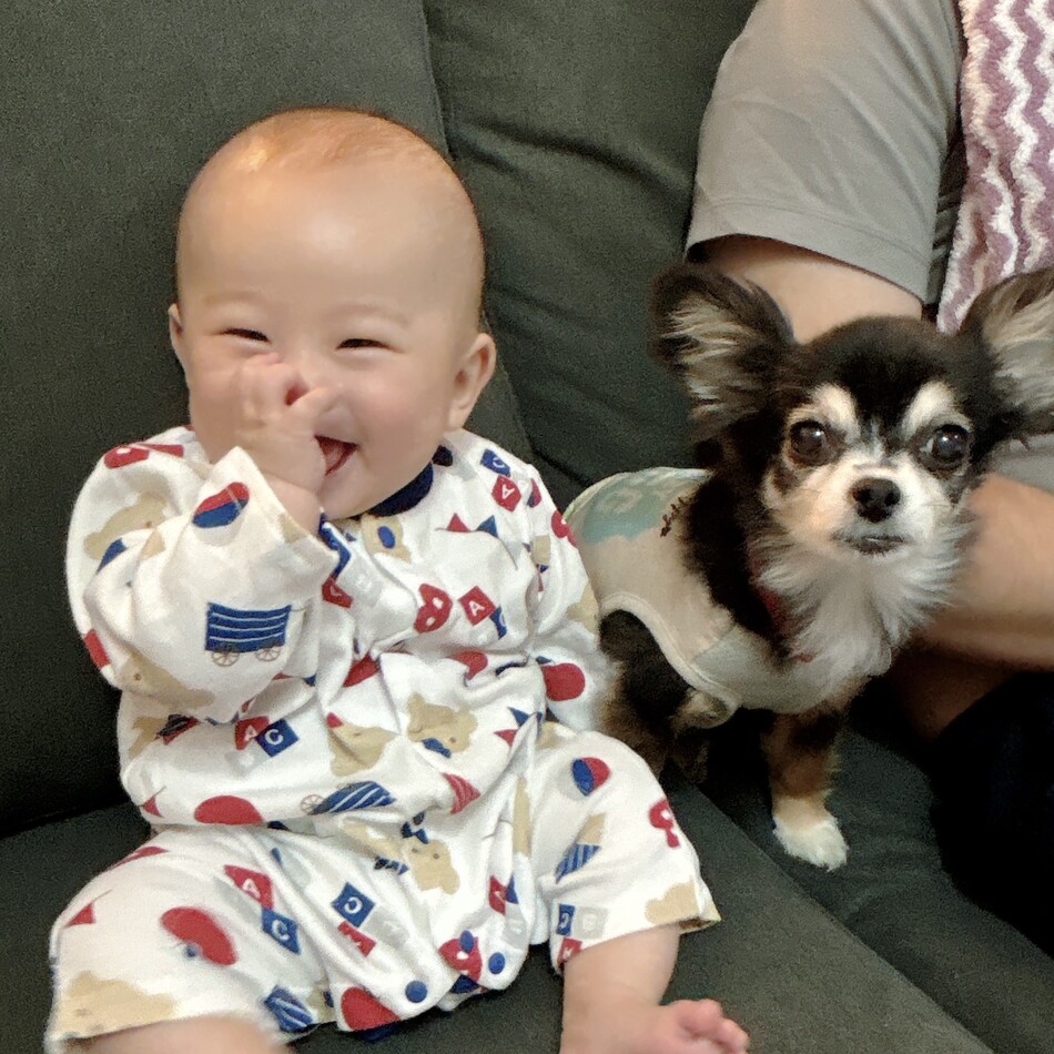 りんのカバー写真