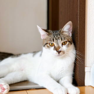 9/22稲毛海岸ෆ⃛お茶目で可愛いෆ⃛チミちゃん