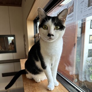 マイペースなおとぼけ男子「ぼし」くん