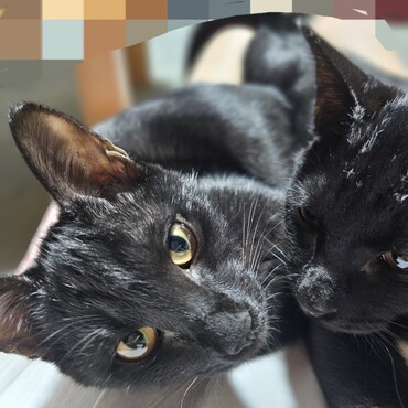 生後４ヶ月なりました