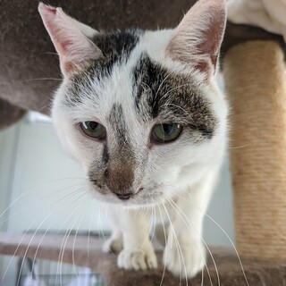 珠洲市から引き取ったポシ君