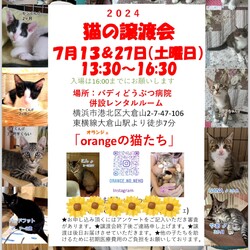 『orangeの猫たち』譲渡会IN大倉山
