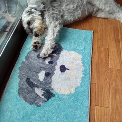 きなちゃんだらけの我が家