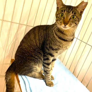 甘えん坊のさつきちゃん❤