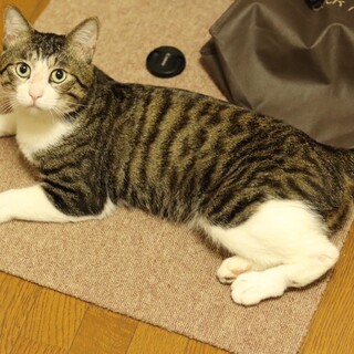 スタイル抜群！カイくん