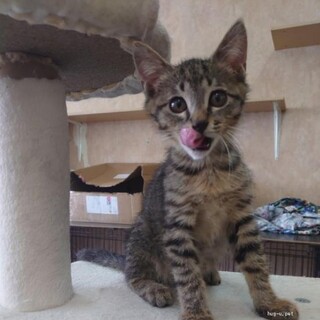 人なれ抜群 遊ぶのだいすき ぼくくん