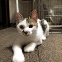 ボール遊び好きなマメ夫くん