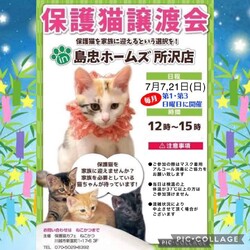 7月7日（日）島忠ホームズ所沢店譲渡会！