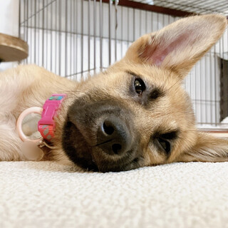 みみりん　女の子