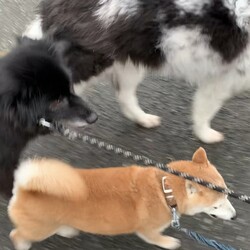 卒業おめでとうございます