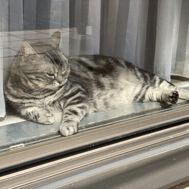の写真