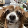 みの