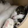 そら