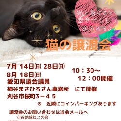 刈谷地域ねこの会 譲渡会