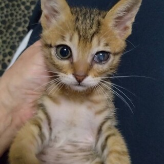 U31　うりりん君