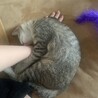 ムーーー